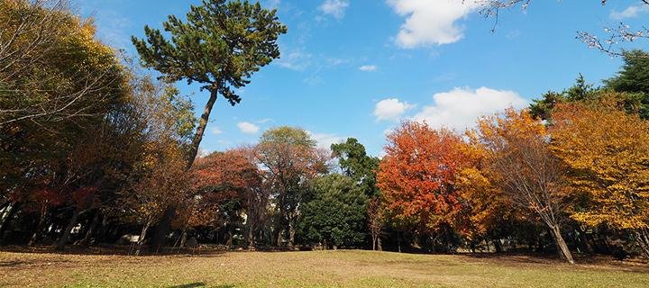 風景写真